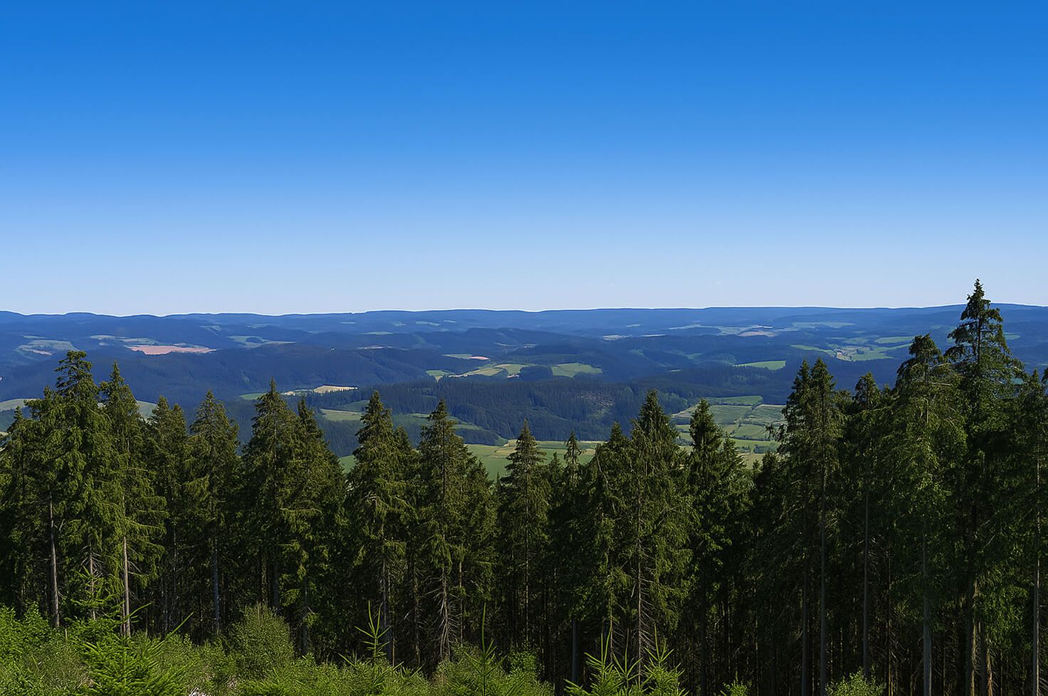 Homert Modulhaus Homert | Berghaus